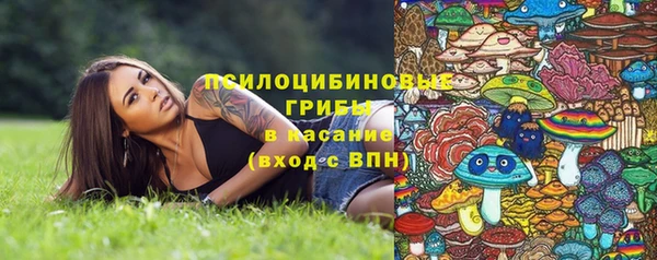 прущая мука Сатка