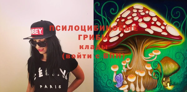 прущий лед Абаза