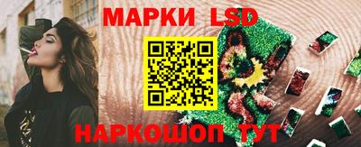 СК Абакан