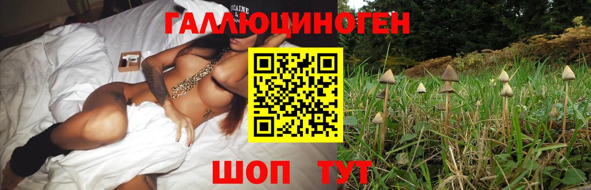 Галлюциногенные грибы MAGIC MUSHROOMS Абинск