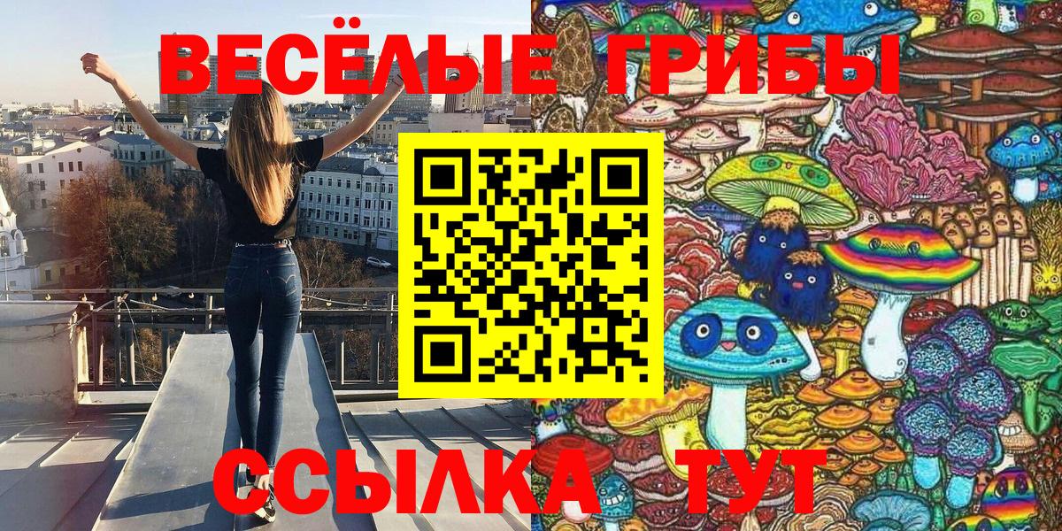 Галлюциногенные грибы GOLDEN TEACHER  Вход с VPN  цены   Абинск 